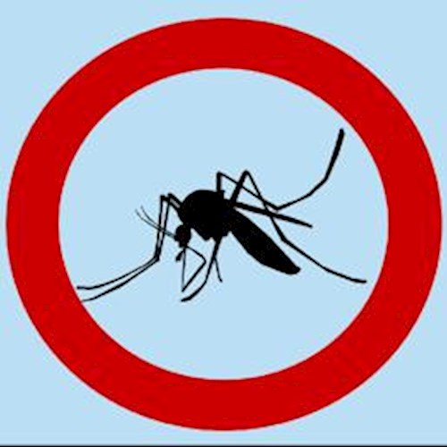 FEBBRE DEL NILO - MISURE DI PREVENZIONE E DI CONTROLLO